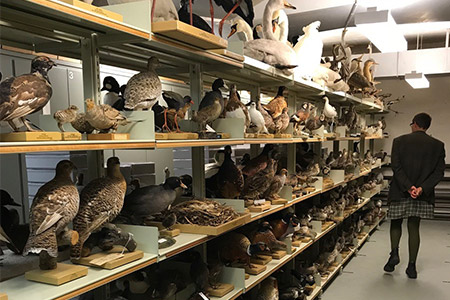 nyhedsbrev-forside-1