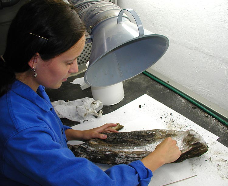 vandrukne-materialer